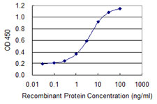 ATF4 Antibody - Detection limit for recombinant GST tagged ATF4 is 0.1 ng/ml as a capture antibody.