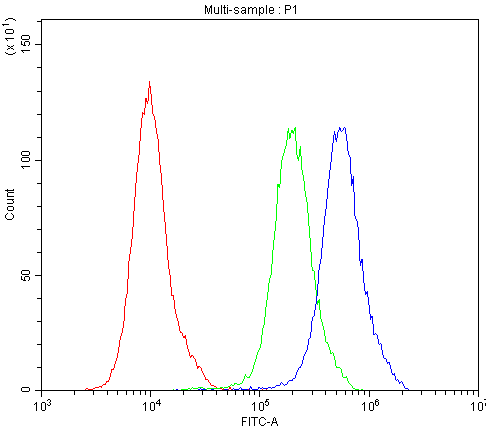 ATG14 Antibody - Flow Cytometry analysis of PC-3 cells using anti-ATG14L antibody. Overlay histogram showing PC-3 cells stained with anti-ATG14L antibody (Blue line). The cells were blocked with 10% normal goat serum. And then incubated with rabbit anti-ATG14L Antibody (1µg/10E6 cells) for 30 min at 20°C. DyLight®488 conjugated goat anti-rabbit IgG (5-10µg/10E6 cells) was used as secondary antibody for 30 minutes at 20°C. Isotype control antibody (Green line) was rabbit IgG (1µg/10E6 cells) used under the same conditions. Unlabelled sample (Red line) was also used as a control.