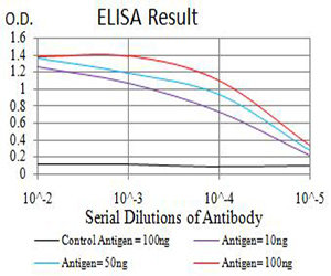 ATG2A Antibody - Black line: Control Antigen (100 ng);Purple line: Antigen (10ng); Blue line: Antigen (50 ng); Red line:Antigen (100 ng)