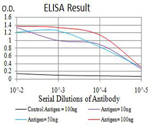 ATG3 Antibody - Black line: Control Antigen (100 ng);Purple line: Antigen (10ng); Blue line: Antigen (50 ng); Red line:Antigen (100 ng)