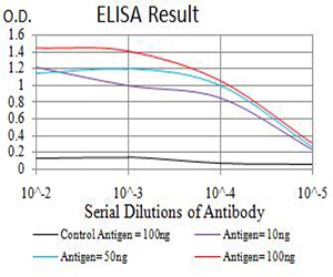 ATG3 Antibody - Black line: Control Antigen (100 ng);Purple line: Antigen (10ng); Blue line: Antigen (50 ng); Red line:Antigen (100 ng)