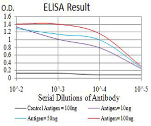 ATL1 Antibody - Black line: Control Antigen (100 ng);Purple line: Antigen (10ng); Blue line: Antigen (50 ng); Red line:Antigen (100 ng)