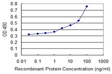 ATM Antibody - Detection limit for recombinant GST tagged ATM is 1 ng/ml as a capture antibody.