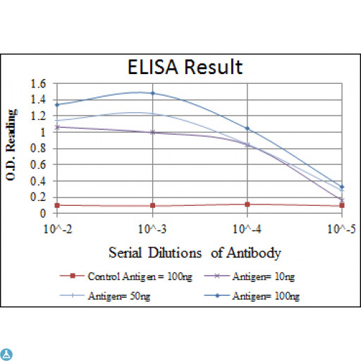 ATM Antibody - ELISA analysis of Atm antibody.