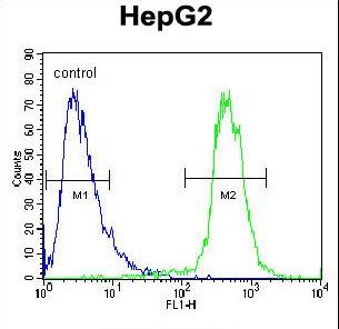 ATP13A3 Antibody - ATP13A3 Antibody flow cytometry of HepG2 cells (right histogram) compared to a negative control cell (left histogram). FITC-conjugated goat-anti-rabbit secondary antibodies were used for the analysis.