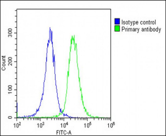 ATP1A4 Antibody - Overlay histogram showing HeLa cells stained with ATP1A4 Antibody (N-Term) (green line). The cells were fixed with 2% paraformaldehyde (10 min) and then permeabilized with 90% methanol for 10 min. The cells were then icubated in 2% bovine serum albumin to block non-specific protein-protein interactions followed by the antibody (ATP1A4 Antibody (N-Term), 1:25 dilution) for 60 min at 37°C. The secondary antibody used was Goat-Anti-Rabbit IgG, DyLight® 488 Conjugated Highly Cross-Adsorbed (OE188374) at 1/200 dilution for 40 min at 37°C. Isotype control antibody (blue line) was rabbit IgG1 (1µg/1x10^6 cells) used under the same conditions. Acquisition of >10, 000 events was performed.