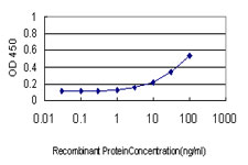ATP1B3 Antibody - Detection limit for recombinant GST tagged ATP1B3 is approximately 3 ng/ml as a capture antibody.