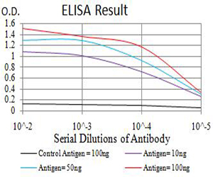 ATP2A1 / SERCA1 Antibody - Black line: Control Antigen (100 ng);Purple line: Antigen (10ng); Blue line: Antigen (50 ng); Red line:Antigen (100 ng)