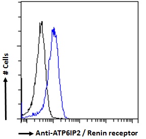 ATP6AP2 / Renin Receptor Antibody - ATP6AP2 / Renin Receptor antibody flow cytometric analysis of paraformaldehyde fixed HeLa cells (blue line), permeabilized with 0.5% Triton. Primary incubation 1hr (10ug/ml) followed by Alexa Fluor 488 secondary antibody (2ug/ml). IgG control: Unimmunized goat IgG (black line) followed by Alexa Fluor 488 secondary antibody.