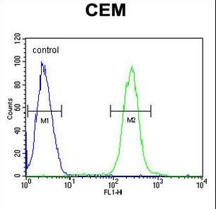 ATP6V0A4 Antibody - ATP6V0A4 Antibody flow cytometry of CEM cells (right histogram) compared to a negative control cell (left histogram). FITC-conjugated goat-anti-rabbit secondary antibodies were used for the analysis.