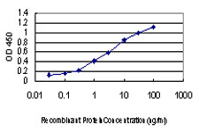 ATP6V0D1 Antibody - Detection limit for recombinant GST tagged ATP6V0D1 is approximately 0.1 ng/ml as a capture antibody.