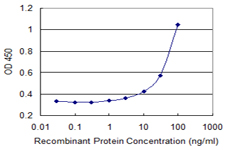 ATP8B1 / BRIC Antibody - Detection limit for recombinant GST tagged ATP8B1 is 1 ng/ml as a capture antibody.