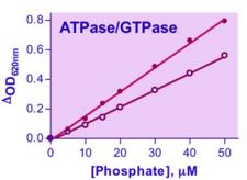 ATPase + GTPase Assay Kit