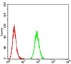 ATPIF1 / ATPI Antibody - Flow cytometric analysis of Hela cells using ATPIF1 mouse mAb (green) and negative control (red).