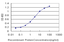ATRX Antibody - Detection limit for recombinant GST tagged ATRX is approximately 0.1 ng/ml as a capture antibody.