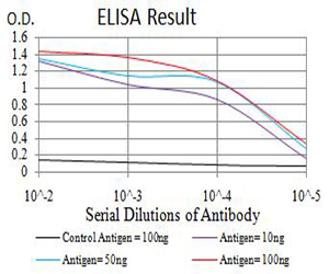 ATRX Antibody - Black line: Control Antigen (100 ng);Purple line: Antigen (10ng); Blue line: Antigen (50 ng); Red line:Antigen (100 ng)
