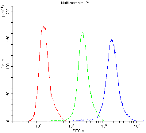 ATXN1 / SCA1 Antibody - Flow Cytometry analysis of Hela cells using anti-ATXN1 antibody. Overlay histogram showing Hela cells stained with anti-ATXN1 antibody (Blue line). The cells were blocked with 10% normal goat serum. And then incubated with rabbit anti-ATXN1 Antibody (1µg/10E6 cells) for 30 min at 20°C. DyLight®488 conjugated goat anti-rabbit IgG (5-10µg/10E6 cells) was used as secondary antibody for 30 minutes at 20°C. Isotype control antibody (Green line) was rabbit IgG (1µg/10E6 cells) used under the same conditions. Unlabelled sample (Red line) was also used as a control.