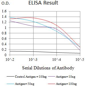 ATXN1 / SCA1 Antibody - Black line: Control Antigen (100 ng);Purple line: Antigen (10ng); Blue line: Antigen (50 ng); Red line:Antigen (100 ng)