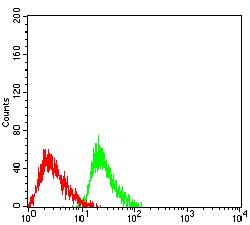 ATXN1 / SCA1 Antibody - Flow cytometric analysis of HL-60 cells using ATXN1 mouse mAb (green) and negative control (red).