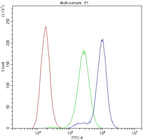 ATXN2 / SCA2 / Ataxin-2 Antibody - Flow Cytometry analysis of A549 cells using anti-ATXN2 antibody. Overlay histogram showing A549 cells stained with anti-ATXN2 antibody (Blue line). The cells were blocked with 10% normal goat serum. And then incubated with rabbit anti-ATXN2 Antibody (1µg/10E6 cells) for 30 min at 20°C. DyLight®488 conjugated goat anti-rabbit IgG (5-10µg/10E6 cells) was used as secondary antibody for 30 minutes at 20°C. Isotype control antibody (Green line) was rabbit IgG (1µg/10E6 cells) used under the same conditions. Unlabelled sample (Red line) was also used as a control.