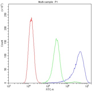 ATXN2 / SCA2 / Ataxin-2 Antibody - Flow Cytometry analysis of A431 cells using anti-ATX2 antibody. Overlay histogram showing A431 cells stained with anti-ATX2 antibody (Blue line). The cells were blocked with 10% normal goat serum. And then incubated with rabbit anti-ATX2 Antibody (1µg/10E6 cells) for 30 min at 20°C. DyLight®488 conjugated goat anti-rabbit IgG (5-10µg/10E6 cells) was used as secondary antibody for 30 minutes at 20°C. Isotype control antibody (Green line) was rabbit IgG (1µg/10E6 cells) used under the same conditions. Unlabelled sample (Red line) was also used as a control.