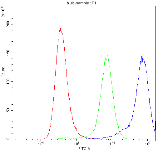 ATXN2 / SCA2 / Ataxin-2 Antibody - Flow Cytometry analysis of A549 cells using anti-ATX2 antibody. Overlay histogram showing A549 cells stained with anti-ATX2 antibody (Blue line). The cells were blocked with 10% normal goat serum. And then incubated with rabbit anti-ATX2 Antibody (1µg/10E6 cells) for 30 min at 20°C. DyLight®488 conjugated goat anti-rabbit IgG (5-10µg/10E6 cells) was used as secondary antibody for 30 minutes at 20°C. Isotype control antibody (Green line) was rabbit IgG (1µg/10E6 cells) used under the same conditions. Unlabelled sample (Red line) was also used as a control.