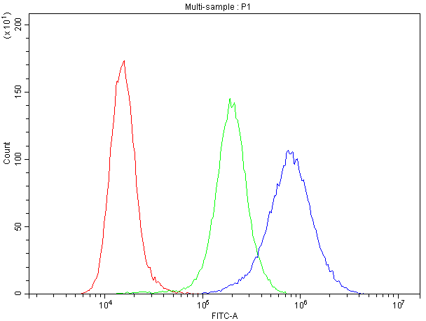 ATXN2 / SCA2 / Ataxin-2 Antibody - Flow Cytometry analysis of K562 cells using anti-ATX2 antibody. Overlay histogram showing K562 cells stained with anti-ATX2 antibody (Blue line). The cells were blocked with 10% normal goat serum. And then incubated with rabbit anti-ATX2 Antibody (1µg/10E6 cells) for 30 min at 20°C. DyLight®488 conjugated goat anti-rabbit IgG (5-10µg/10E6 cells) was used as secondary antibody for 30 minutes at 20°C. Isotype control antibody (Green line) was rabbit IgG (1µg/10E6 cells) used under the same conditions. Unlabelled sample (Red line) was also used as a control.