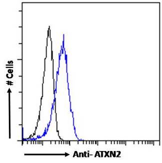 ATXN2 / SCA2 / Ataxin-2 Antibody - Goat Anti-ATXN2 Antibody Flow cytometric analysis of paraformaldehyde fixed A431 cells (blue line), permeabilized with 0.5% Triton. Primary incubation 1hr (10ug/ml) followed by Alexa Fluor 488 secondary antibody (1ug/ml). IgG control: Unimmunized goat IgG (black line) followed by Alexa Fluor 488 secondary antibody.