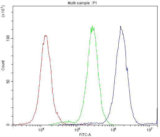 ATXN3 / JOS Antibody - Flow Cytometry analysis of A549 cells using anti-ATXN3 antibody. Overlay histogram showing A549 cells stained with anti-ATXN3 antibody (Blue line). The cells were blocked with 10% normal goat serum. And then incubated with rabbit anti-ATXN3 Antibody (1µg/10E6 cells) for 30 min at 20°C. DyLight®488 conjugated goat anti-rabbit IgG (5-10µg/10E6 cells) was used as secondary antibody for 30 minutes at 20°C. Isotype control antibody (Green line) was rabbit IgG (1µg/10E6 cells) used under the same conditions. Unlabelled sample (Red line) was also used as a control.
