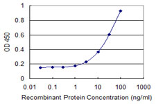 ATXN7L1 Antibody - Detection limit for recombinant GST tagged ATXN7L1 is 1 ng/ml as a capture antibody.