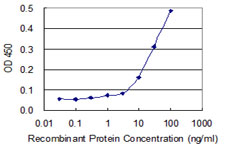 AUH Antibody - Detection limit for recombinant GST tagged AUH is 3 ng/ml as a capture antibody.