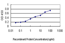 AURKA / Aurora-A Antibody - Detection limit for recombinant GST tagged STK6 is approximately 0.1 ng/ml as a capture antibody.