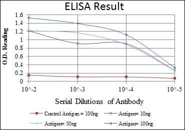 AURKA / Aurora-A Antibody - Red: Control Antigen (100ng); Purple: Antigen (10ng); Green: Antigen (50ng); Blue: Antigen (100ng);