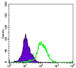 AURKA / Aurora-A Antibody - Flow Cytometry: Aurora A Antibody (1F8) - Flow cytometric analysis of K562 cells using Aurora A mouse mAb (green) and negative control (purple).