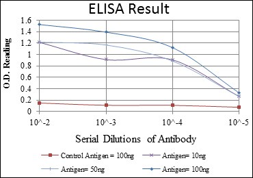 AURKA / Aurora-A Antibody - ELISA: Aurora A Antibody (1F8) - Red: Control Antigen (100ng); Purple: Antigen (10ng); Green: Antigen (50ng); Blue: Antigen (100ng).