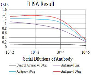 AUTL1 / ATG4C Antibody - Black line: Control Antigen (100 ng);Purple line: Antigen (10ng); Blue line: Antigen (50 ng); Red line:Antigen (100 ng)