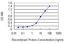AXIN2 / Axin 2 Antibody - Detection limit for recombinant GST tagged AXIN2 is 0.3 ng/ml as a capture antibody.