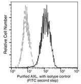 AXL Antibody - Flow cytometric analysis of Human AXL expression on DU145 cells. Cells were stained with purified anti-Human AXL, then a FITC-conjugated second step antibody. The fluorescence histograms were derived from gated events with the forward and side light-scatter characteristics of intact cells.