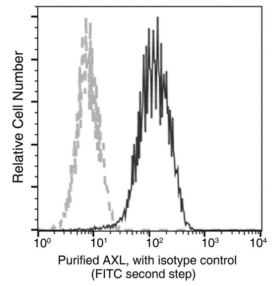 AXL Antibody - Flow cytometric analysis of Human AXL expression on DU145 cells. Cells were stained with purified anti-Human AXL, then a FITC-conjugated second step antibody. The fluorescence histograms were derived from gated events with the forward and side light-scatter characteristics of intact cells.