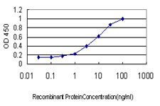 AXL Antibody - Detection limit for recombinant GST tagged AXL is approximately 0.3 ng/ml as a capture antibody.