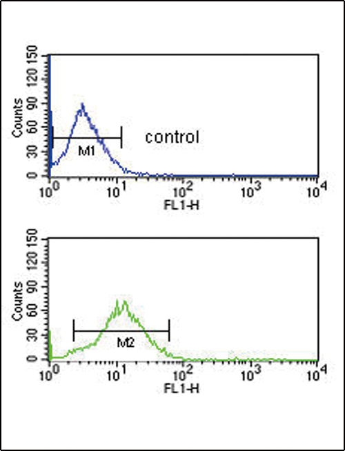 B1R / BDKRB1 Antibody - BDKRB1 Antibody flow cytometry of HepG2 cells (bottom histogram) compared to a negative control cell (top histogram). FITC-conjugated goat-anti-rabbit secondary antibodies were used for the analysis.
