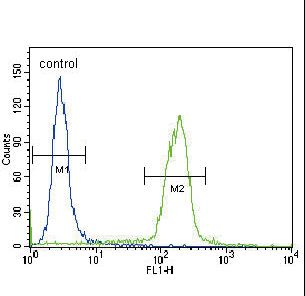 B2M / Beta 2 Microglobulin Antibody - B2M Antibody flow cytometry of HeLa cells (right histogram) compared to a negative control cell (left histogram). FITC-conjugated goat-anti-rabbit secondary antibodies were used for the analysis.