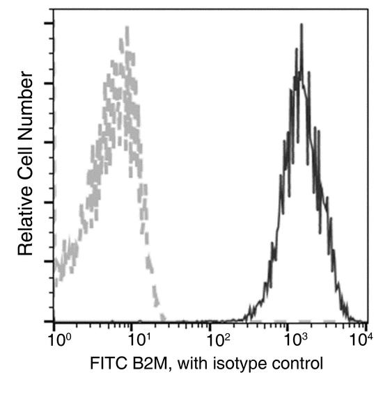 B2M / Beta 2 Microglobulin Antibody - Flow cytometric analysis of Human B2M / Beta-2-microglobulin expression on human whole blood lymphocytes. Cells were stained with FITC-conjugated anti-Human B2M / Beta-2-microglobulin. The fluorescence histograms were derived from gated events with the forward and side light-scatter characteristics of viable lymphocytes.