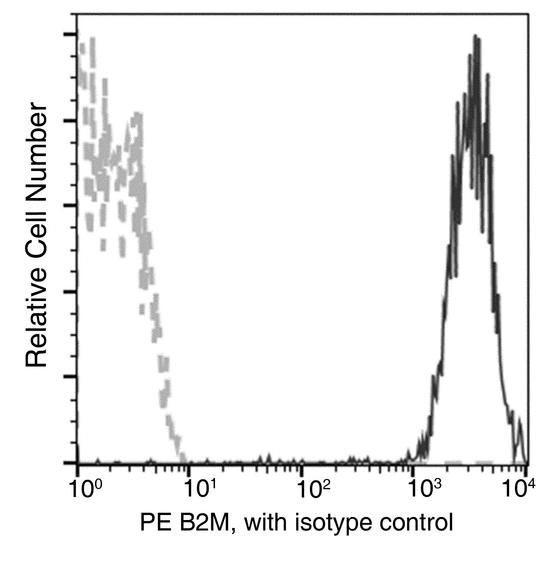 B2M / Beta 2 Microglobulin Antibody - Flow cytometric analysis of Human B2M / Beta-2-microglobulin expression on human whole blood lymphocytes. Cells were stained with PE-conjugated anti-Human B2M / Beta-2-microglobulin. The fluorescence histograms were derived from gated events with the forward and side light-scatter characteristics of viable lymphocytes.