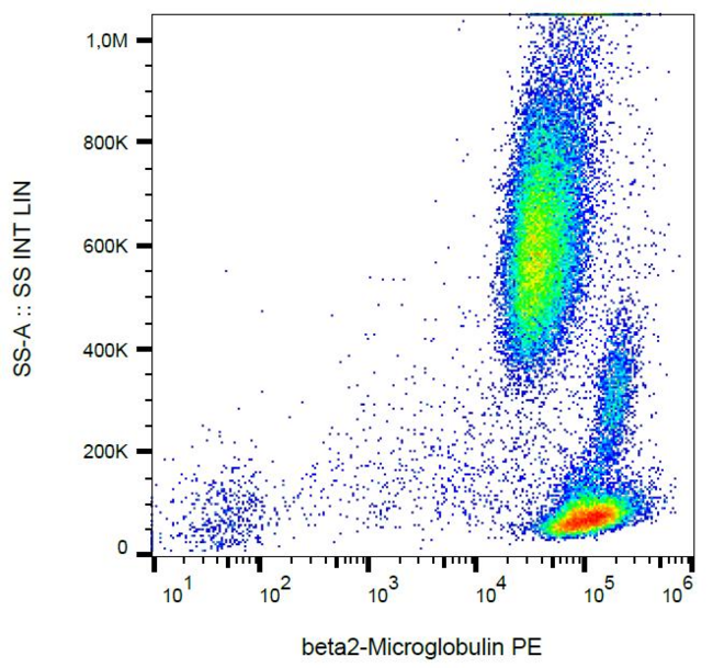 B2M / Beta 2 Microglobulin Antibody - Surface staining of ß2-microglobulin in human peripheral blood with anti-ß2-microglobulin (B2M-01) PE.