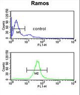 B3GALT6 Antibody - B3GALT6 Antibody flow cytometry of Ramos cells (bottom histogram) compared to a negative control cell (top histogram). FITC-conjugated goat-anti-rabbit secondary antibodies were used for the analysis.