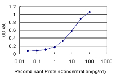 BAAT / BAT Antibody - Detection limit for recombinant GST tagged BAAT is approximately 0.3 ng/ml as a capture antibody.