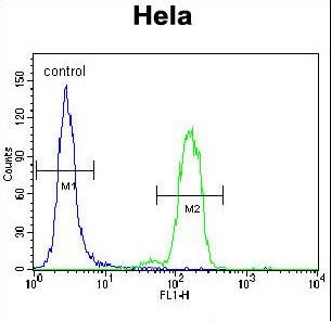 BAD Antibody - Bad BH3 Domain Antibody flow cytometry of HeLa cells (right histogram) compared to a negative control cell (left histogram). FITC-conjugated goat-anti-rabbit secondary antibodies were used for the analysis.