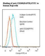 BAFF Receptor / CD268 Antibody - Flow cytometry of BAFF Receptor antibody This image was taken for the unconjugated form of this product. Other forms have not been tested.