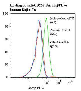 BAFF Receptor / CD268 Antibody - Flow cytometry of BAFF Receptor antibody This image was taken for the unconjugated form of this product. Other forms have not been tested.